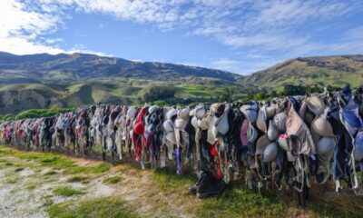 Cardrona Bra Fence