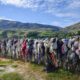 Cardrona Bra Fence