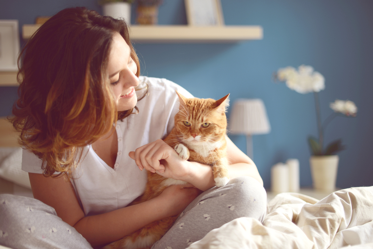 Come tenere pulita la casa con un gatto