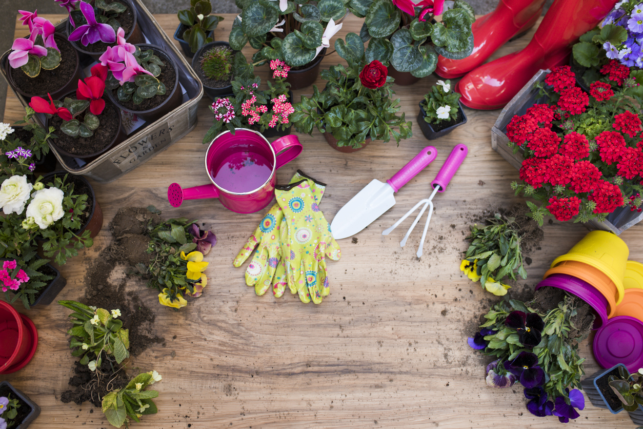 Giardino autunnale, i consigli per avere fiori tutto l&#8217;anno