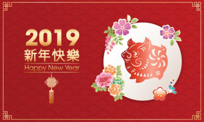 Capodanno cinese 2019 anno del Maiale
