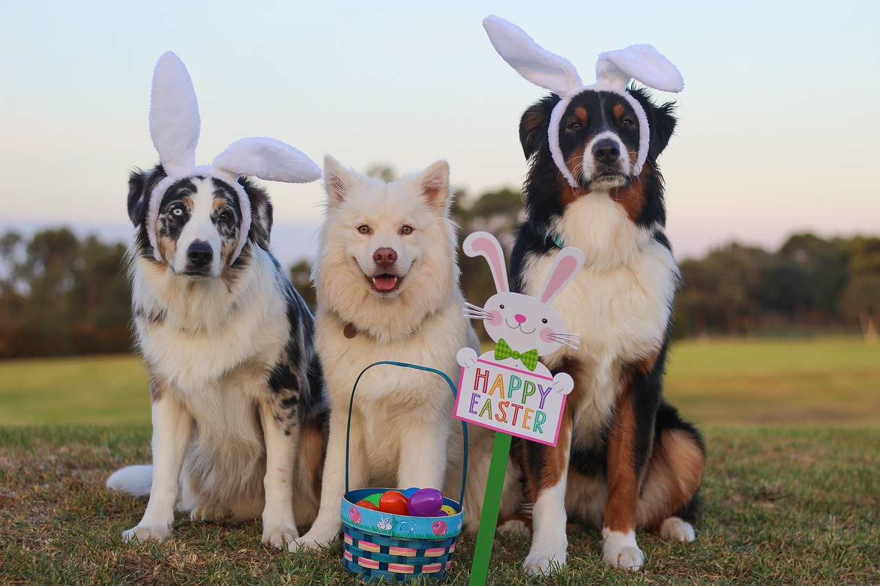 Come fare gli auguri di Buona Pasqua 2019 con le gif