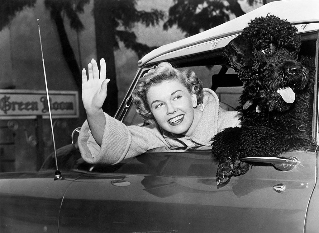 Doris Day, i film e la biografia della grande attrice