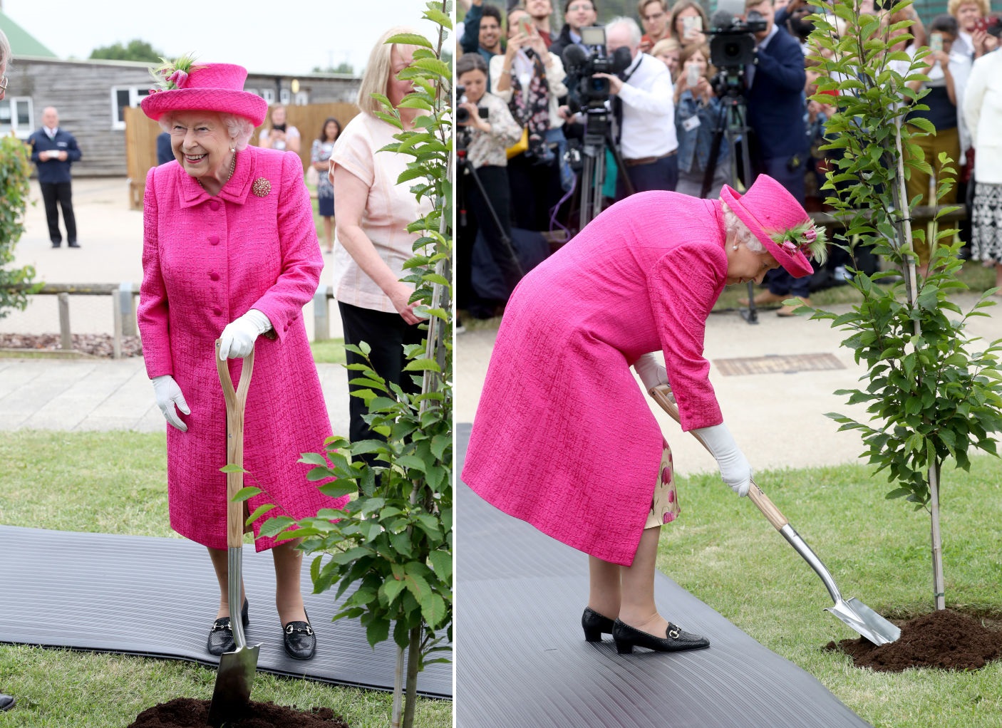 Regina Elisabetta II fa giardinaggio