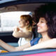 App per viaggiare in auto