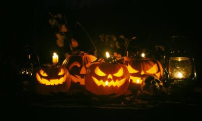 Decorazioni Halloween giardino zucche