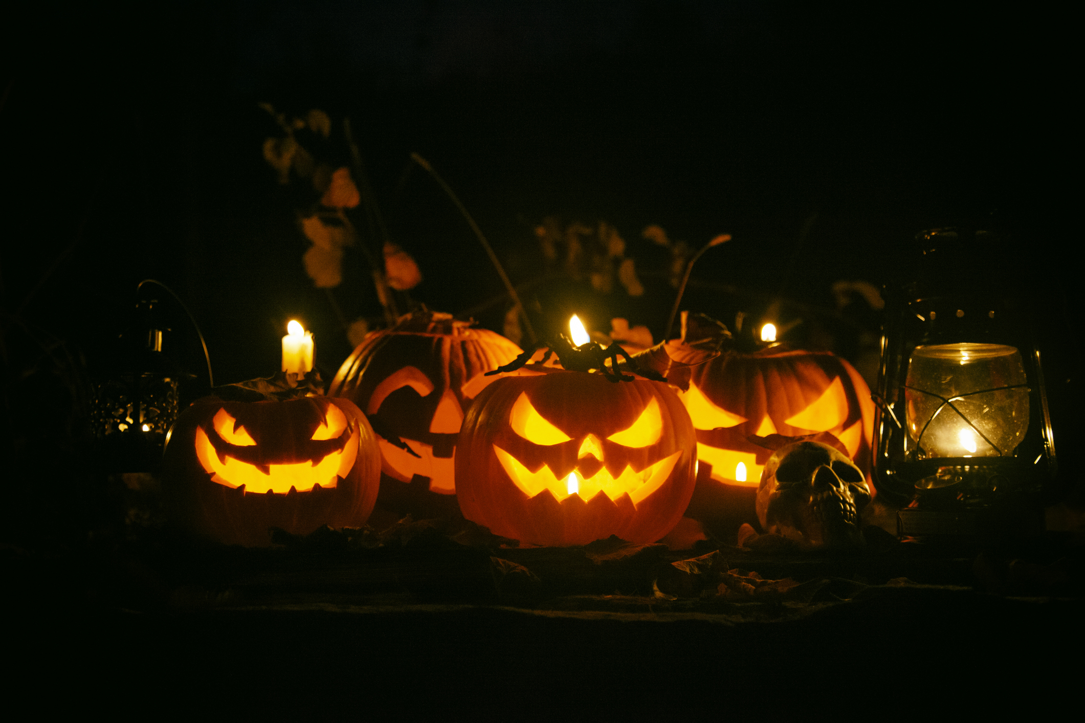 Decorare il giardino per Halloween: cosa serve, idee e consigli