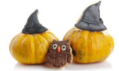 Dolci di Halloween i gufetti, guida alla preparazione