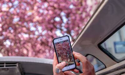 Accessori auto per il telefono