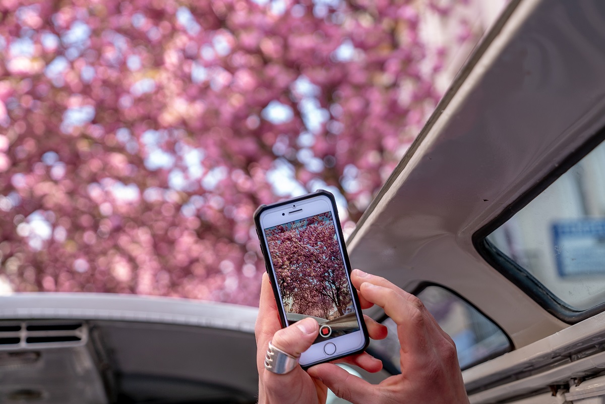 Accessori auto per il telefono