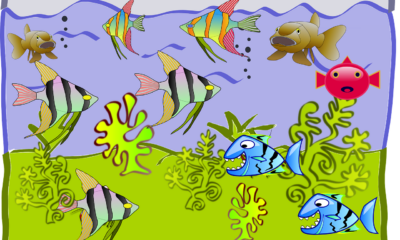 Come costruire un acquario di cartone con i piccoli di casa in poche mosse