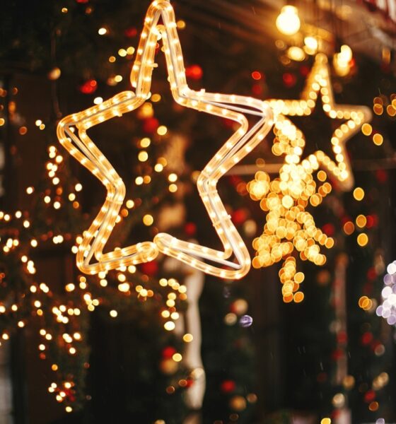 Luci di Natale da esterno