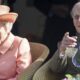 Il Natale 2020 della regina Elisabetta II: ecco cosa cambierà per la Royal Family