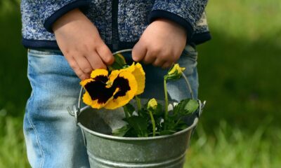 5 giochi di giardinaggio per bambini