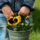 5 giochi di giardinaggio per bambini