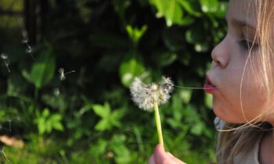 Le attività primaverili per bambini più interessanti