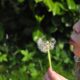 Le attività primaverili per bambini più interessanti