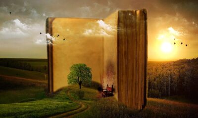 leggere è importante