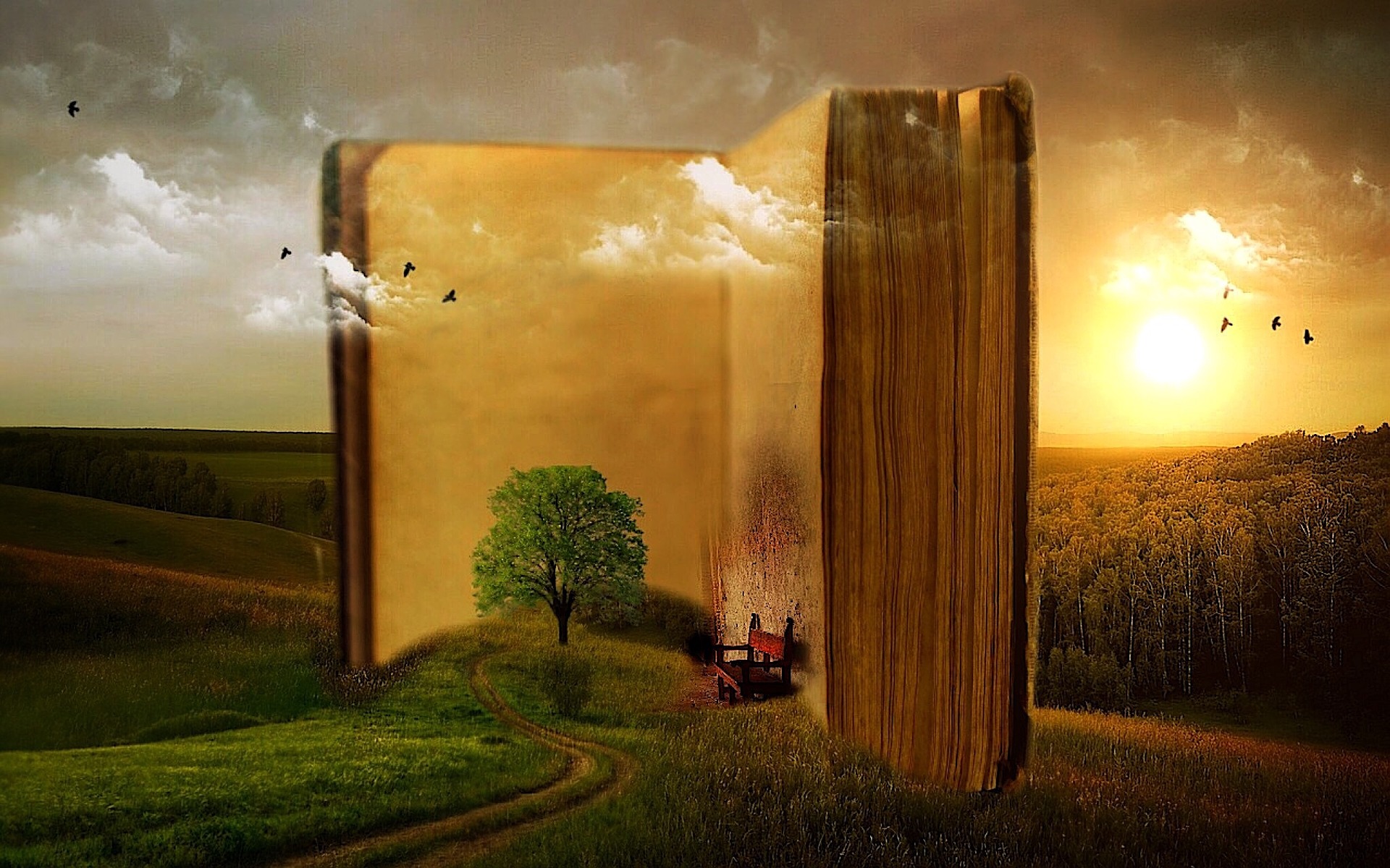leggere è importante