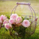 Arredare il giardino