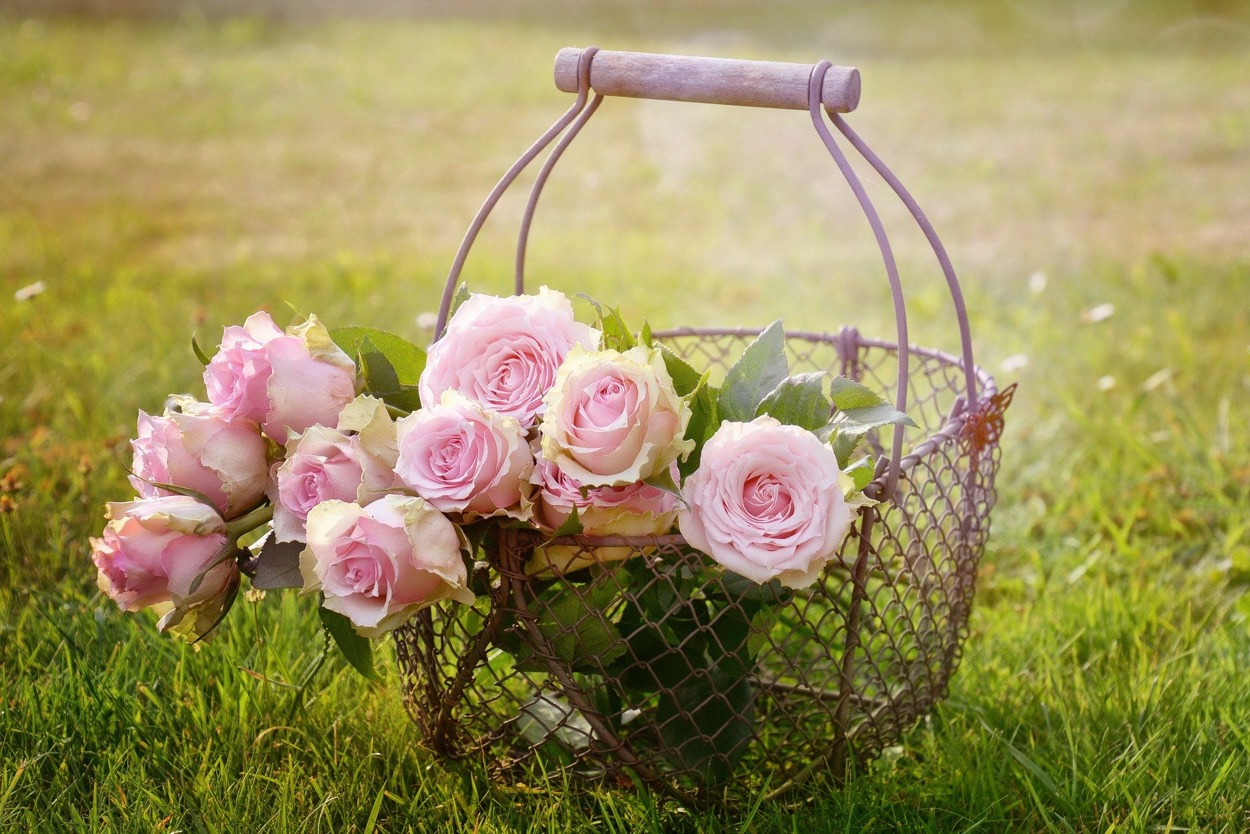 Arredare il giardino