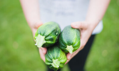Tortello alle zucchine di Isa Mazzocchi, "Chef donna" 2021