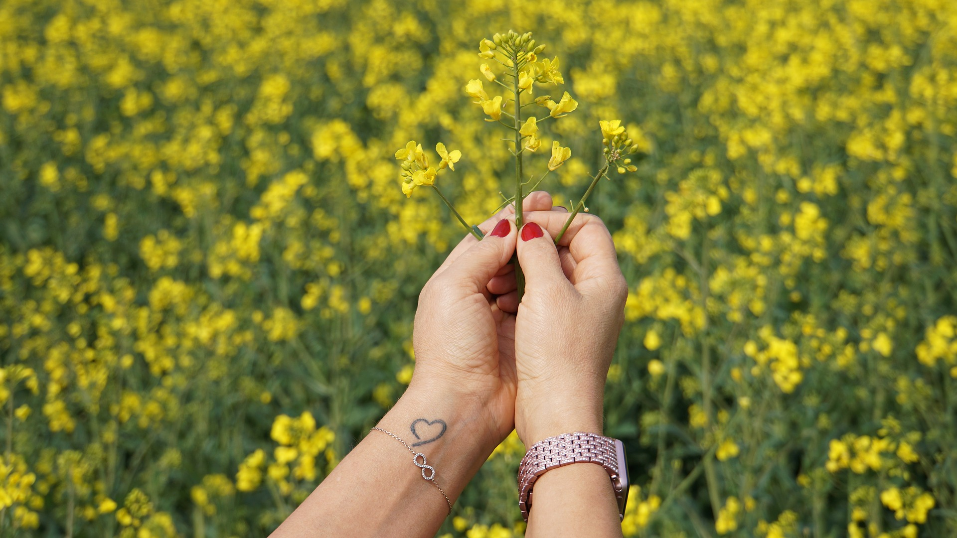 Tatuaggi significativi per la famiglia: i più originali