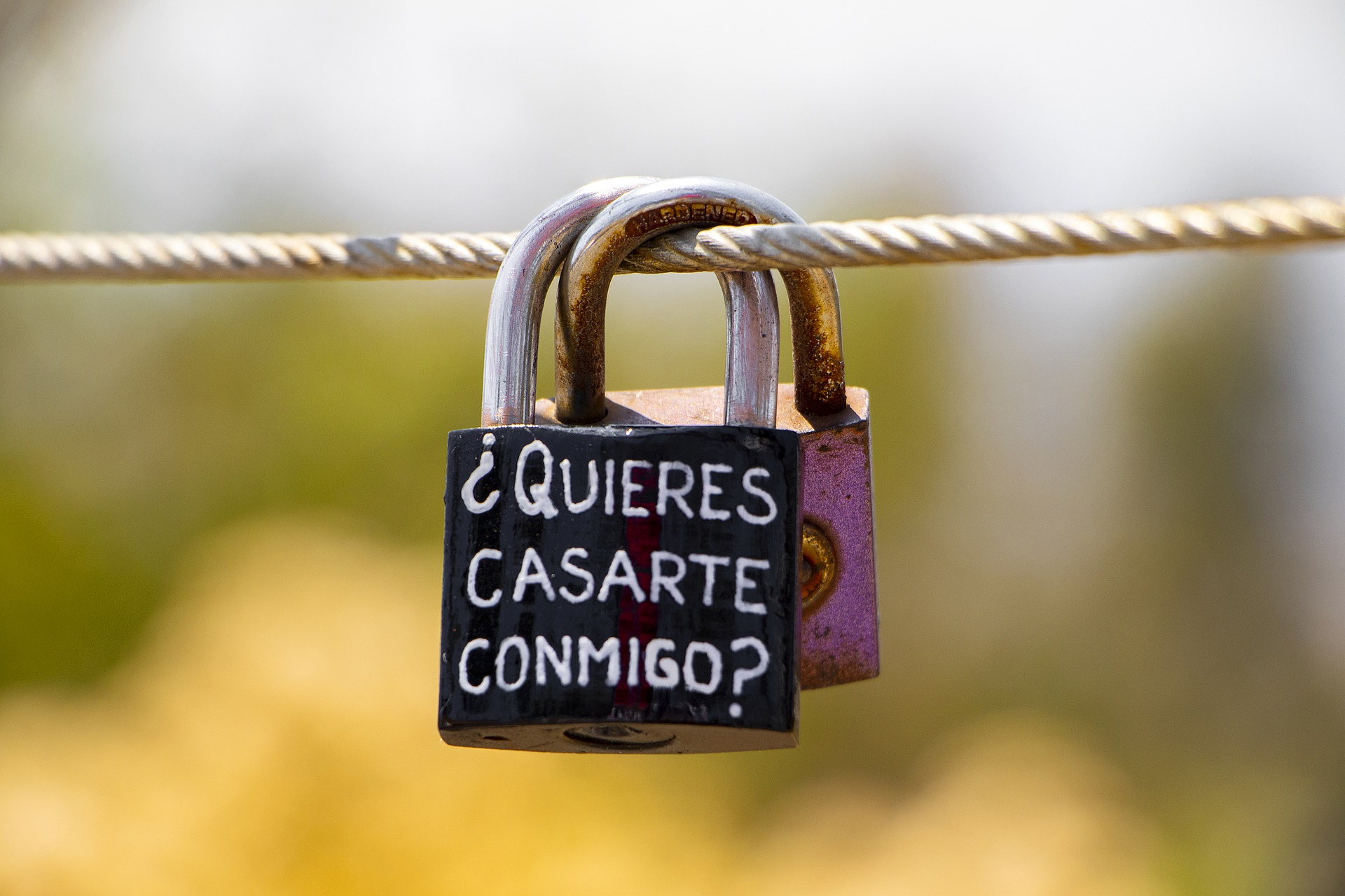 proposte di matrimonio creative