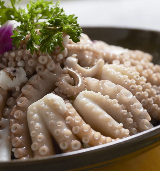 L'insalata di polpo dello chef Moreno Cedroni