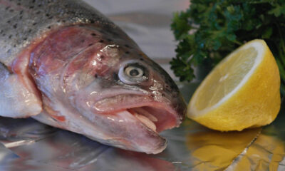 La ricetta del filetto di trota salmonata dello chef Egon Heiss