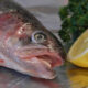 La ricetta del filetto di trota salmonata dello chef Egon Heiss