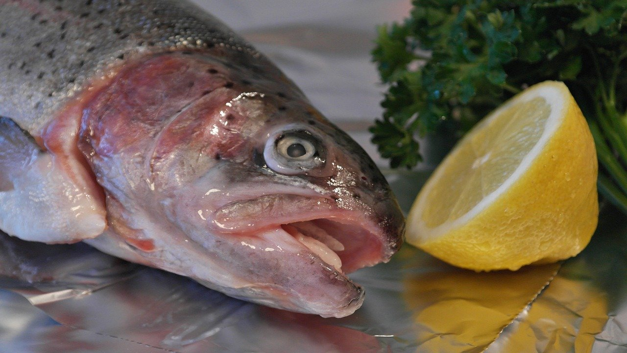 La ricetta del filetto di trota salmonata dello chef Egon Heiss