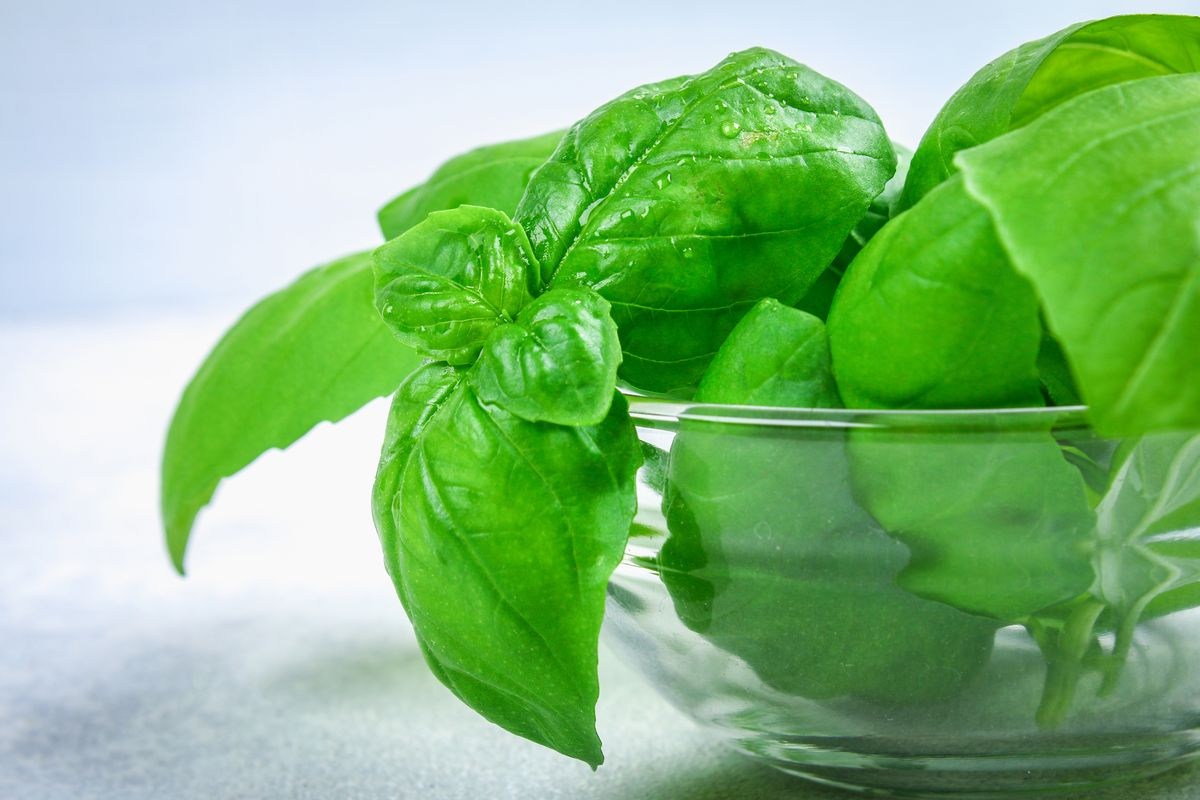 sorbetto basilico ricetta