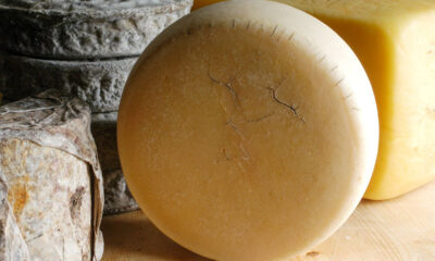 Jarlsberg formaggio