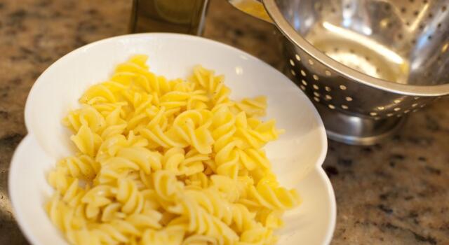Barilla, pasta con insetti: cosa aspettarsi