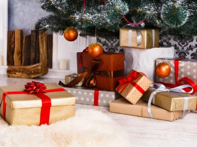 Come ti organizzo il Natale: trama e cast