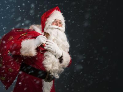 Babbo Natale segreto: trama e cast