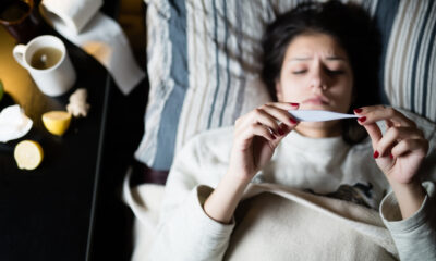 influenza del cammello