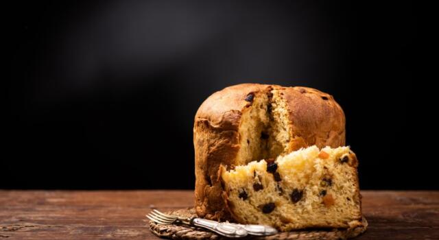 Panettone o pandoro: quale fa ingrassare di più?