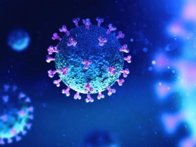 Coronavirus, la variante Kraken spaventa: sintomi e diffusione