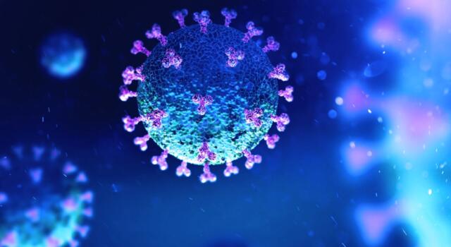 Coronavirus, la variante Kraken spaventa: sintomi e diffusione