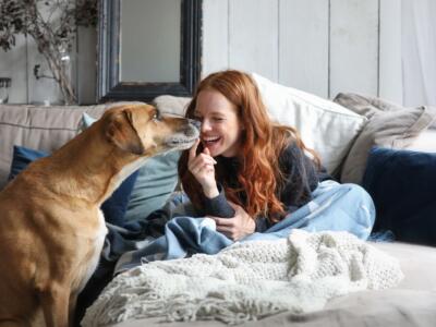 Amore in appello: trama e cast