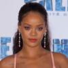 Rihanna, proposta di matrimonio da un fan: arriva la polizia