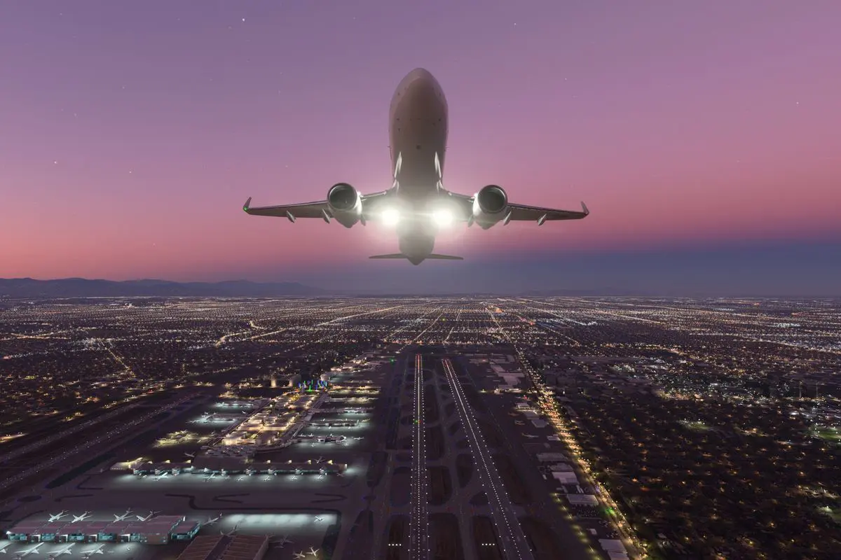 Cosa significa bird strike?