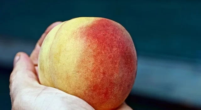 Dove vedere la pubblicità dell&#8217;Esselunga: il video