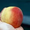 Esselunga, perché tutti parlano dello spot La pesca? Ecco cosa ha innescato la polemica