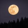 Settembre 2023, occhi al cielo per la luna piena del raccolto: ecco quando e come vederla