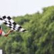 Le Mans '66 - La grande sfida: ecco le location del film