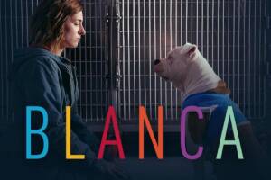 Ascolti tv 9 novembre: ‘Blanca 2’ vince la serata, i numeri