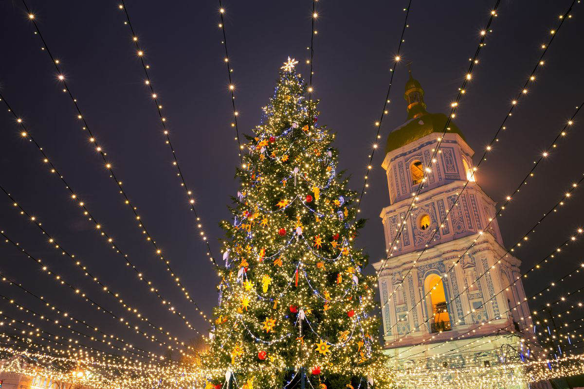 Alberi di Natale più curiosi del 2023: da quello più piccolo (alto 14mm) al più grande